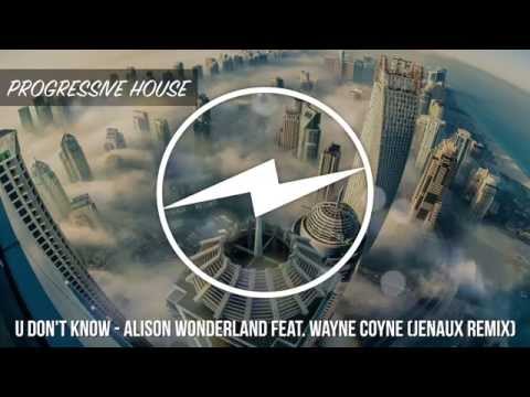[Progressive House] U Don't Know - Alison Wonderland Feat. Wayne Coyne (Jenaux Remix)