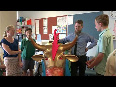 Students at Picnic Point High interview  teacher Thomas Bleyerveen and ask Why the Archibull Prize?