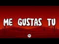 Manu Chao Me Gustas Tu Letra Lyrics