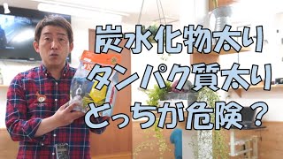 犬には２種類の太り方がある！　【ドッグフード】