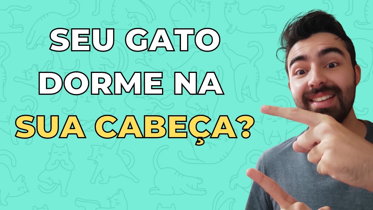 POR QUE MEU GATO DORME NA MINHA CABEÇA?