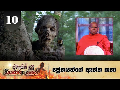 10. දිවැසින් දුටු බියකරු සසර | පේ‍්‍රතයන්ගේ ඇත්ත කතා.