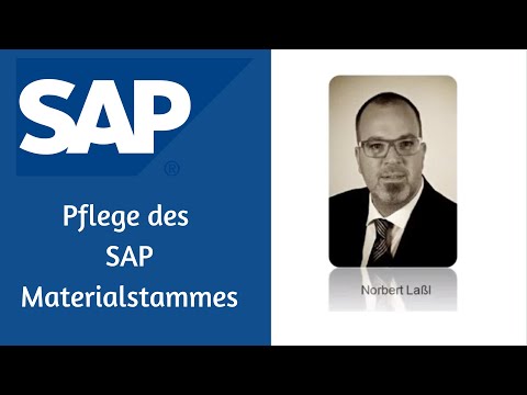 Pflege des SAP Materialstammes mit eindeutigen Verantwortlichkeiten