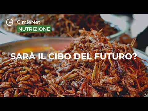 Gli #insetti sono DAVVERO il cibo del futuro?| #alimentazione