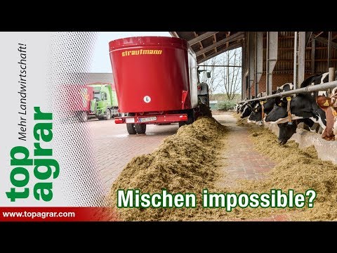 Futterration für Kühe: Mischen impossible?