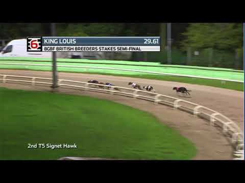 2020 BGBF STAKES - 2ND SEMI - T6 KING LOUIS
