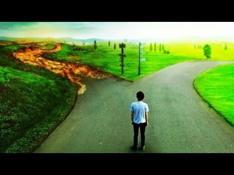 ESCOLHAS. #devocional