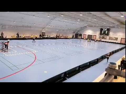 P12 Welhot Flames - Welhot Wings