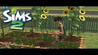🌻🍃🧺Sims 2 Cottagecore Gameplay |  Gardening, Sewing & Slow Living 🧵🌼 |  Quiet Moments🌿| Garden ASMR