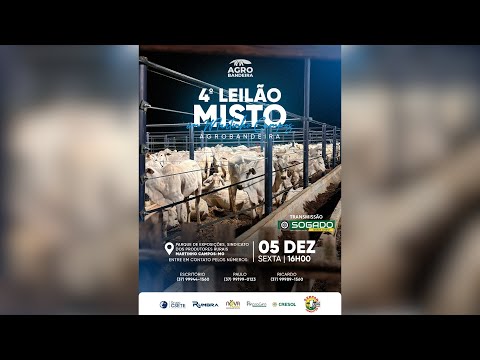 4º LEILÃO AGRO BANDEIRA E SINDICATO DE MARTINHO CAMPOS/MG - 05/12/2025