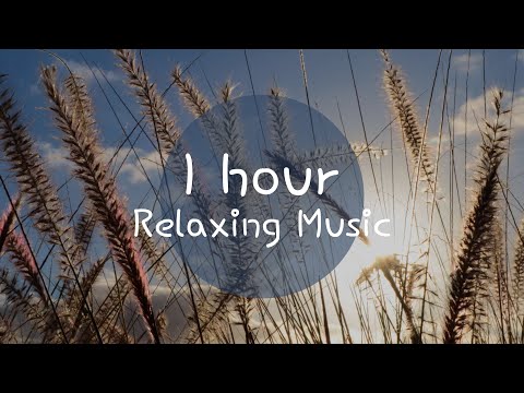 Relaxing and Soothing Music ♫ Adagietto (70-80 BPM) ♫ Spa/Massage Music, Harmony of Body and Mind ♫