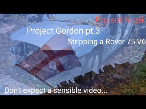 Project Gordon pt.3: Stripping Rover 75 V6