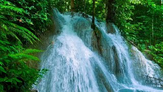 Gentle River Flow and Bird Songs for Natural Deep Sleep, Heart Healing &amp; Anxiety-Free Relaxation