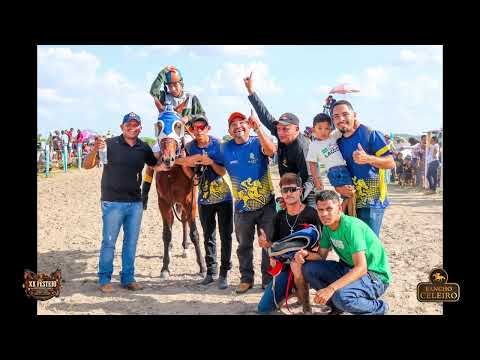 CORRIDA DE CAVALOS - XX FESTEJO DA COMUNIDADE DO ARAÇA 2026 - AMAJARI - RORAIMA PART. 2