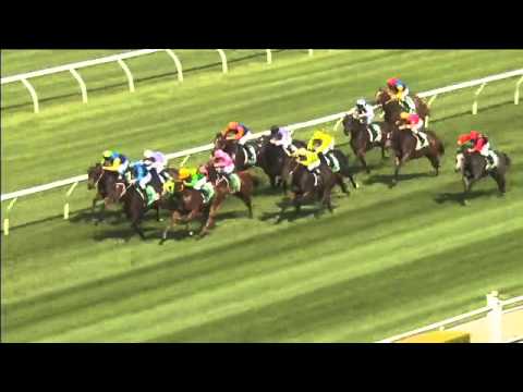 Randwick Race 1 April 16th 2016 - TAB HIGHWAY HANDICAP