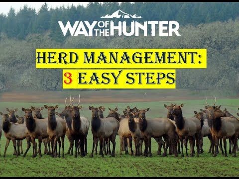 Herd Management: Spawn MORE TROPHIES! | Way of the Hunter