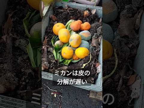 庭に堆肥をいつ、どのように追加するのですか?知っておくべきことはすべて！  庭園