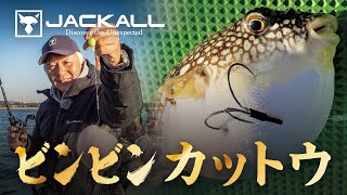 ジャッカル宮本流【カットウフグ】その理論と実践 / 宮本 英彦