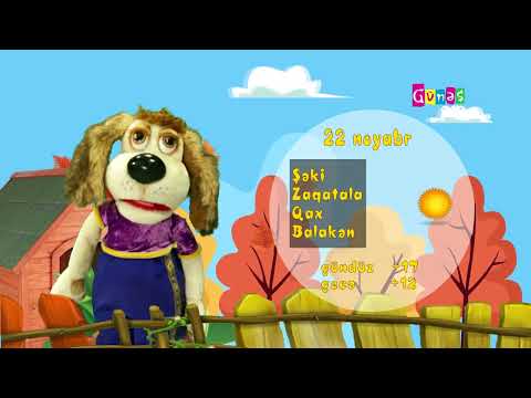 "Hava necə olacaq?" - 22 noyabr 2024-cü il