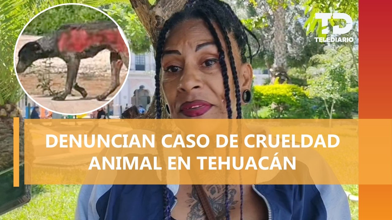 Acusan tiradero clandestino de animales tras caso de perrito quemado hallado muerto en Tehuacán