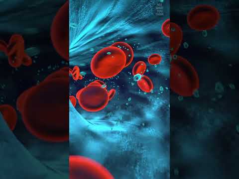 Decompression Sickness and Poo #shorts