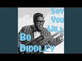 Bo Diddley Is An Outlaw (Fast Version)