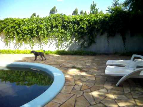 Eneida 03 03 11 Juca 129