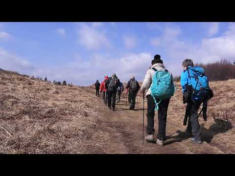 Monte Carza Big Bench