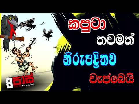 NETH FM 8 PASS JOKES 2022.05.19 | කපුටා තවමත් නිරුපද්‍රිතව වැජබෙයි