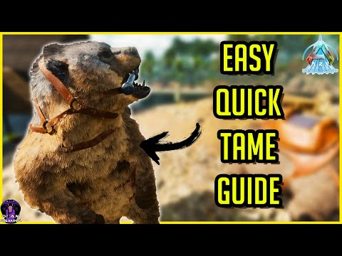 SIMPLE Easy DIRE BEAR Taming !! | Tame Guide + Utility ! Ark Survival Ascended ASA