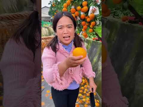 This Is How Oranges Are Harvested in Asia Directly from Waterways!🍊🌊 #shorts