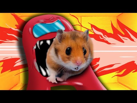 HAMSTER imposter AMONG US but with Traps 🐹😈 Hamster Impostor Among Us in Life Of Pets