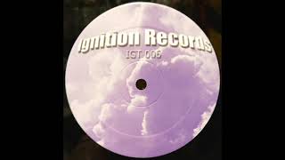 Ignition Technician Presents Wilko - Good Night (2003)