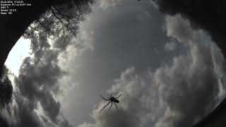 All sky camera capture from Poiana Rusca Mountains 2024-04-03