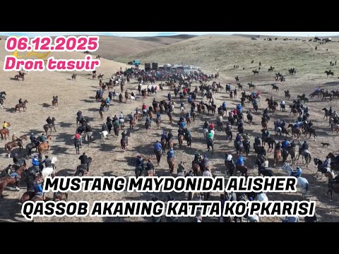 06.12.2025. ALISHER QASSOB AKANING KATTA KOʻPKARISI. BOSTONLIQ MUSTANG MAYDONI. DRON TASVIR
