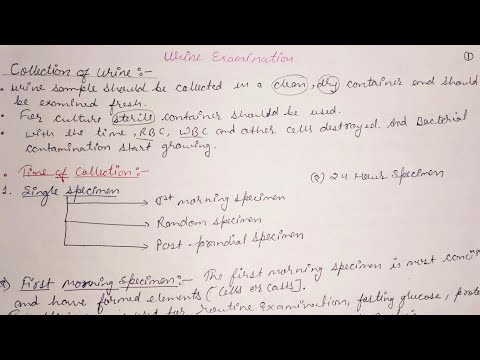 COLLECTION OF URINE EXAMINATION PART 2