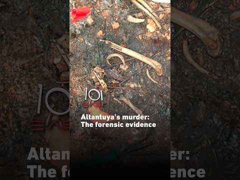 Altantuya’s murder: The forensic evidence | 101 East #shorts