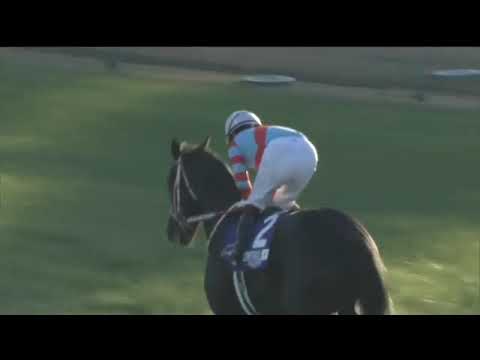2021.11.28  Japan Cup - Contrail