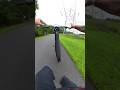I GOT WHEELIE LUCKY Talaria XxX Short