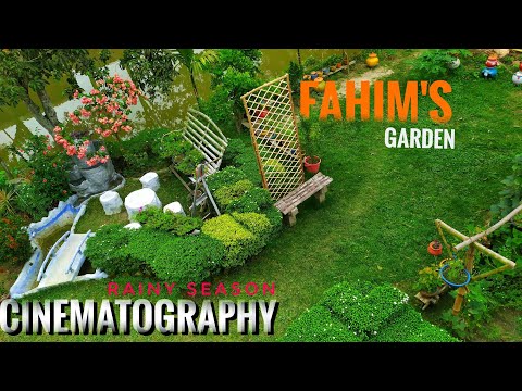 Fahim's Garden || Rainy season || Cinematography by - A.H.M.FAHIM MORSHED
