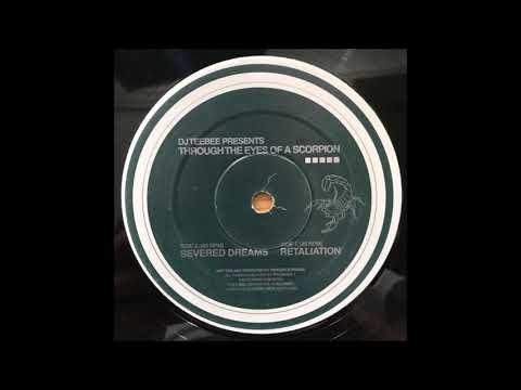 Teebee - Severed Dreams