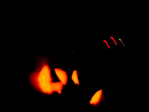 Chymera Curl Catwalk 010