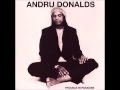 Andru Donalds - Trouble In Paradise 