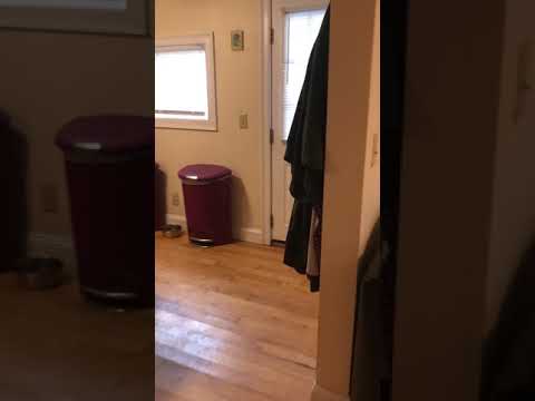 22 Cedar St, Burlington, VT | Renovated 2 Bedroom House Near UVM & Downtown | June 2027 property video