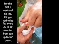 Une femme trouve cet étrange bébé dans la pelouse. Mais un an plus tard? Il ne ressemble plus du tout à ça!