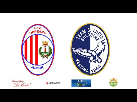 UNDER 14 PROVINCIALE: Oppeano - Team Santa Lucia