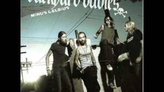 Backyard Babies - Minus Celsious