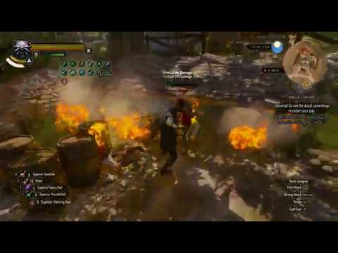 Witcher 3 - Alchemy (Euphoria) build versus Bandits in Toussaint - Death March Difficulty