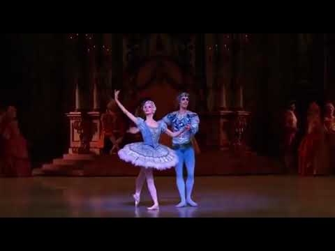 SLEEPING BEAUTY - Grand Pas de Deux Florine & Blue Bird (Myriam Ould-Braham & Mathias Heymann)