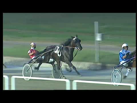 Napoli Trotto 20/08/2021 - 2ª corsa